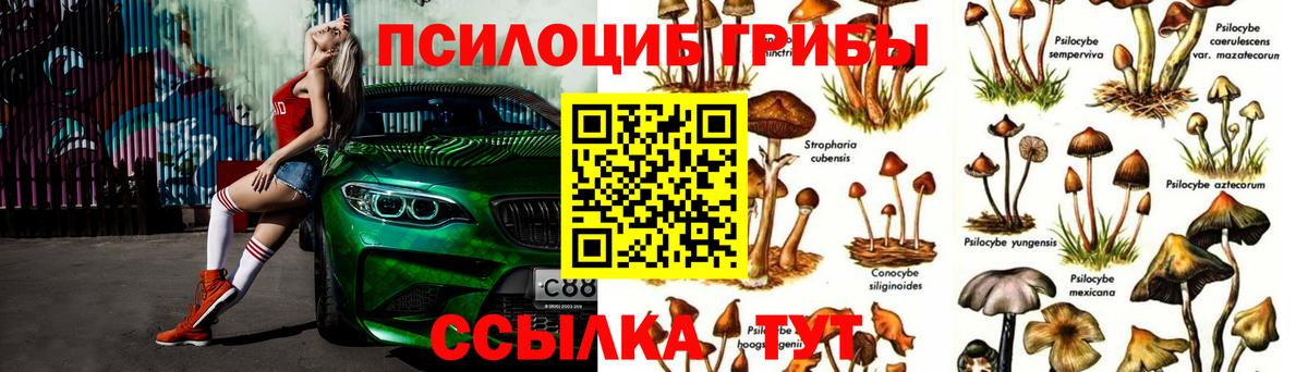 Галлюциногенные грибы мицелий Кирово-Чепецк